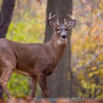 如何选择优博平台开户以确保投资安全 1c0n4rquv