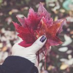 如何选择安全可靠的酷游备用网址线路,保障你的游戏安全 l2udk