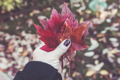 如何选择安全可靠的酷游备用网址线路,保障你的游戏安全