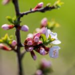 畅游大奖888官网,享受丰富多彩的游戏与奖励 qpzieu3t