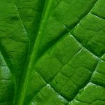 如何安全访问必赢平台网址,确保您的在线娱乐无忧 useavn